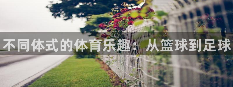 3377体育官网下载平台是正规平台吗安全吗