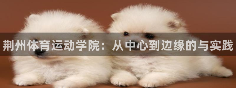 3377体育官网下载招商电话是多少啊