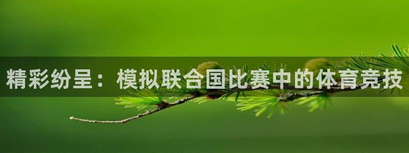 3377体育官方集团官网
