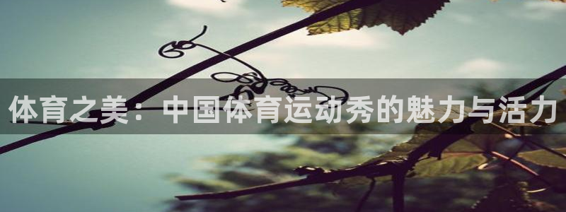 3377体育官方正版app集团：体育之美：中国体育运动秀的魅