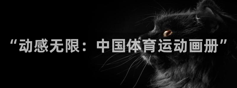 3377体育官网下载平台假的吗是真的吗吗：“动感无限：中国体