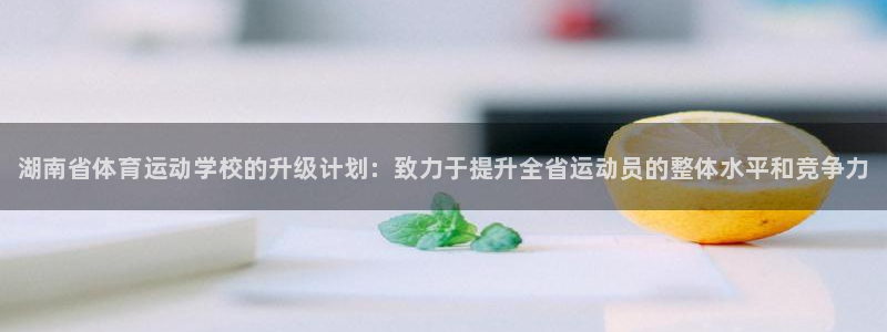 3377体育官方正版app集团