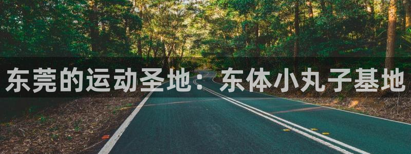 3377体育官网下载平台是正规平台吗知乎