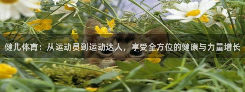 3377体育官网下载联系电话：健儿体育：从运动员到运动达人，