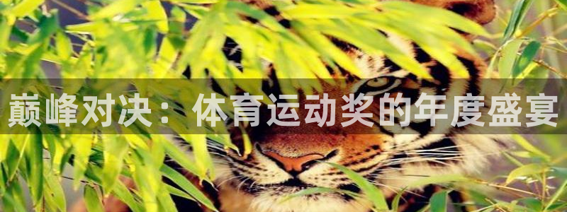 3377体育官网下载招商电话地址