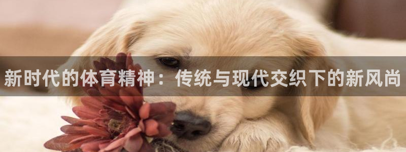 3377体育官方正版app新能源：新时代的体育精神：传统与现