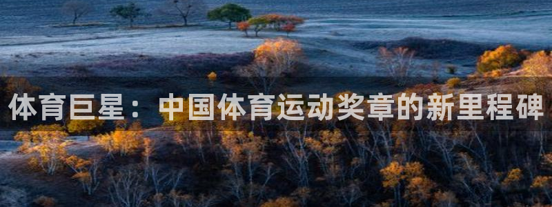 3377体育官网下载平台注册流程视频：体育巨星：中国体育运动
