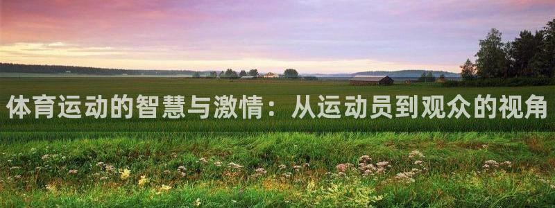 3377体育官方正版app新能源：体育运动的智慧与激情：从运