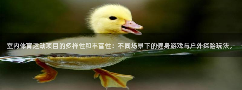 海南3377体育官网下载发展怎么样：室内体育运动项目的多样性