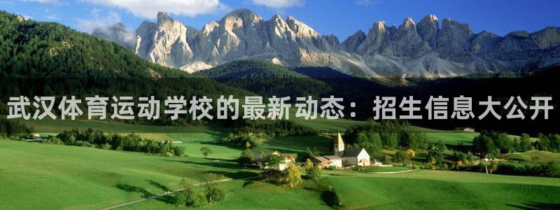 3377体育官方正版app代理：武汉体育运动学校的最新动态：