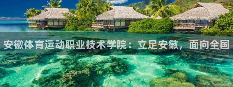 3377体育官网下载平台注册流程图：安徽体育运动职业