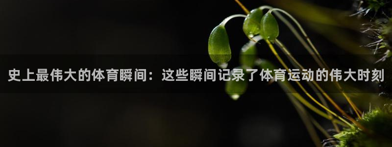 3377体育官方正版app官方