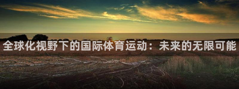 注册3377体育官方正版app：全球化视野下的国际体