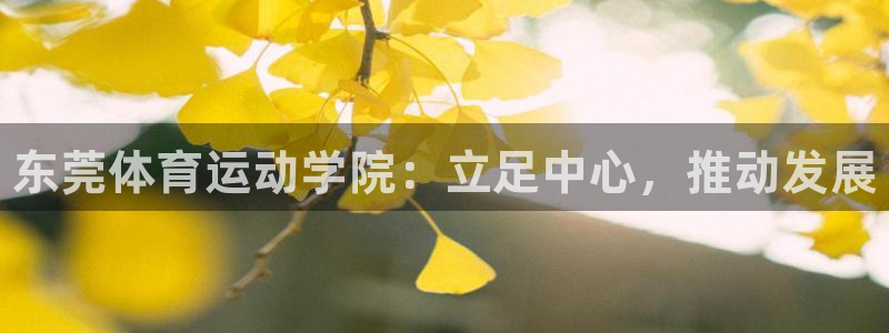 3377体育官网下载招商电话地址是多少：东莞体育运动