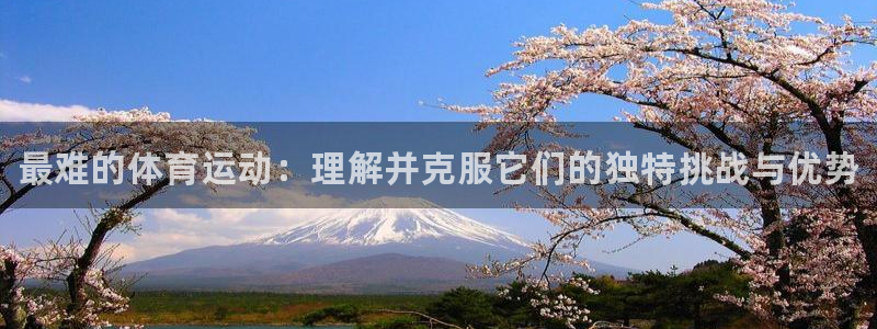 3377体育官方正版app集团简介