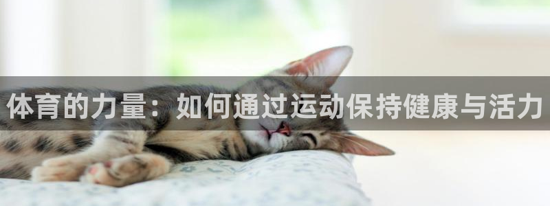 3377体育官网下载：体育的力量：如何通过运动保持健康与活力