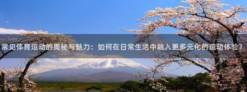 3377体育官网下载招商电话号码查询：常见体育运动的奥秘与魅
