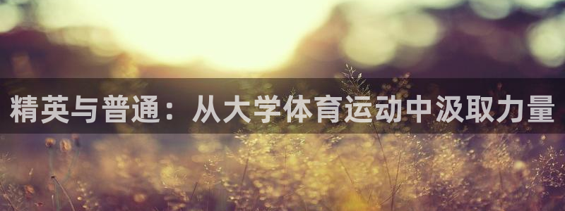 3377体育官方正版app神州：精英与普通：从大学体育运动中