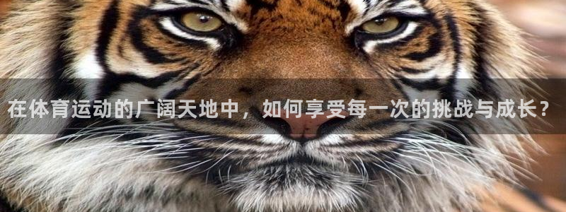 3377体育官网下载平台：在体育运动的广阔天地中，如何享受每