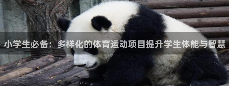 3377体育官网下载平台APP：小学生必备：多样化的体育运动