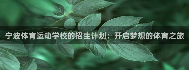 3377体育官方正版app新能源：宁波体育运动学校的