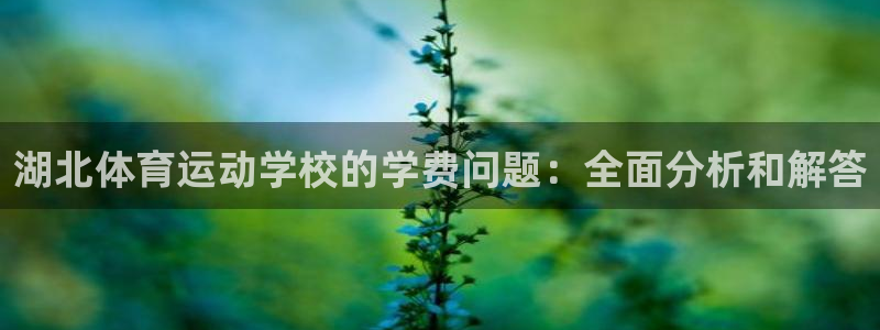 3377体育官网下载平台注册要钱吗是真的吗：湖北体育