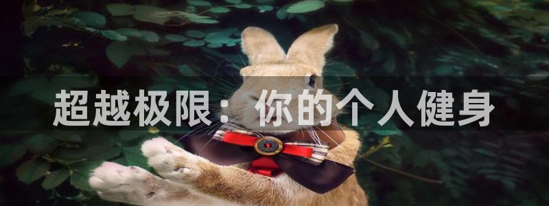 3377体育官网下载：超越极限：你的个人健身