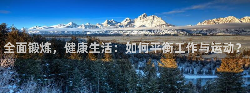 3377体育官方正版app集团E.ON