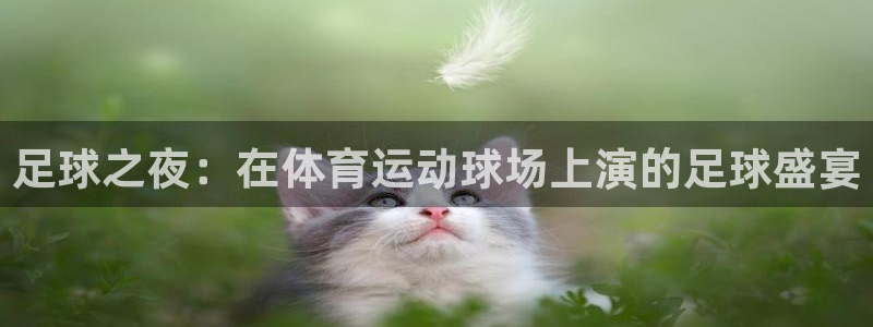 3377体育官网下载平台注册流程图：足球之夜：在体育运动球场