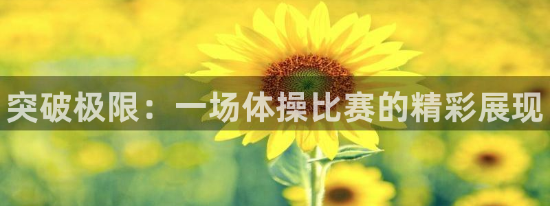 3377体育官方正版app娱乐下载：突破极限：一场体操比赛的