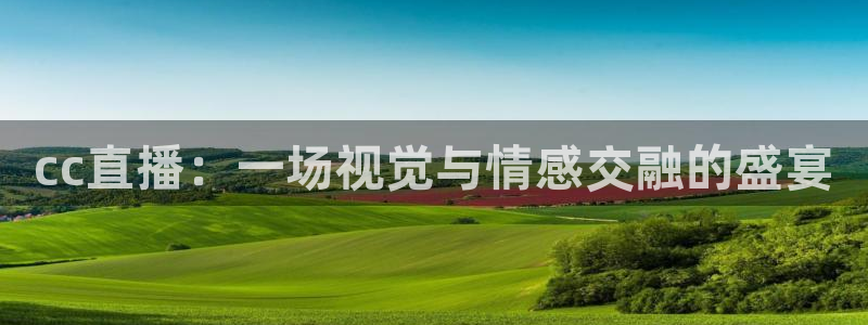 玩球直播nba体育直播：cc直播：一场视觉与情感交融的盛宴