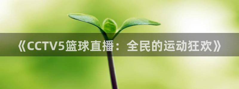 玩球体育app