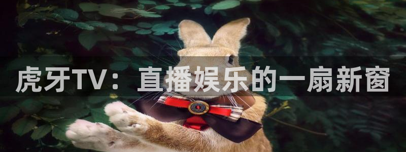 玩球直播nba在线观看免费：虎牙TV：直播娱乐的一扇新窗