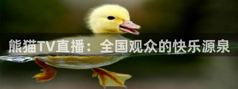 nba直播玩球直播