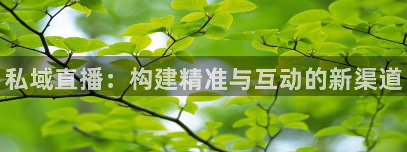 玩球怎么玩