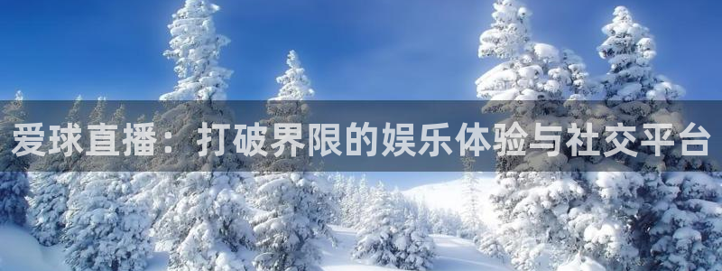 玩球直播下载