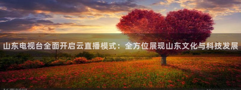 玩球免费直播：山东电视台全面开启云直播模式：全方位展现山东文化与科技发展
