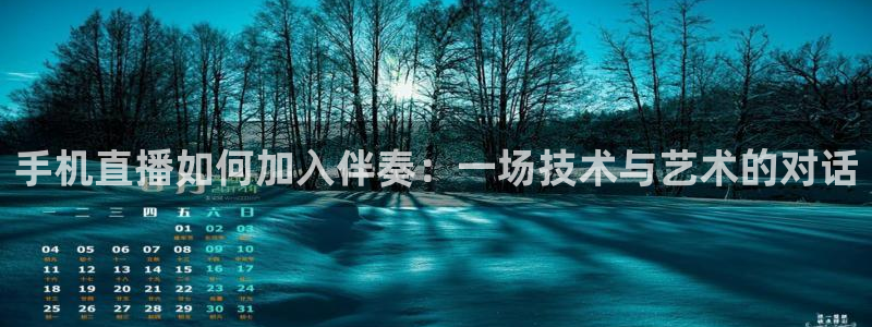 玩球直播app苹果下载：手机直播如何加入伴奏：一场技术与艺术的对话