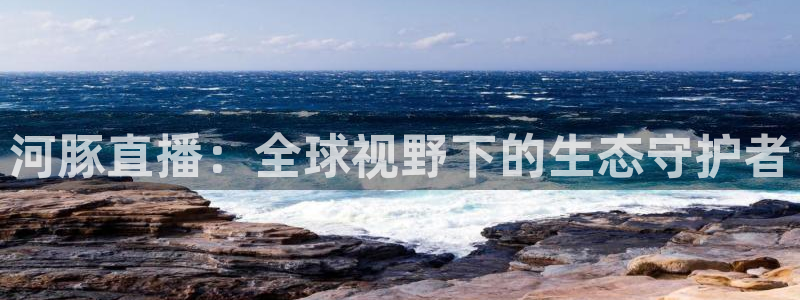 玩球体育直播app：河豚直播：全球视野下的生态守护者