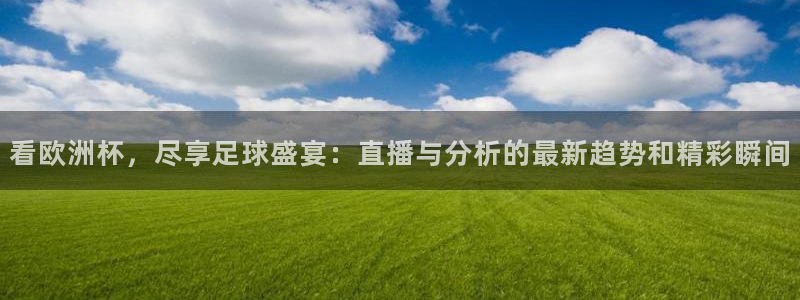 小班体育游戏玩球：看欧洲杯，尽享足球盛宴：直播与分析的最新趋势和精彩瞬间