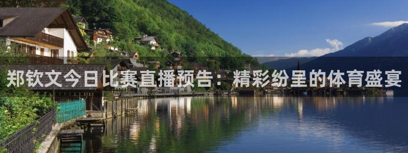 玩球直播nba在线观看免费