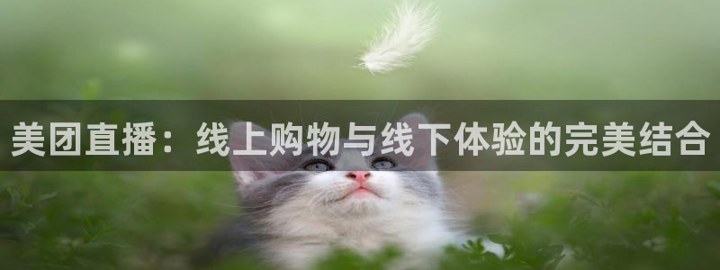 nba直播玩球