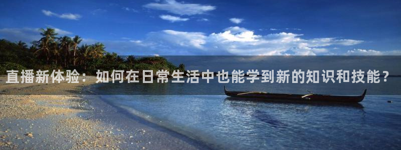 nba总决赛玩球直播