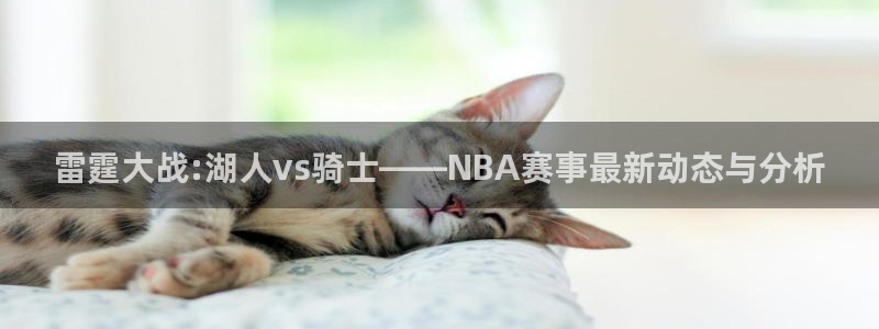 玩球直播app官方版下载