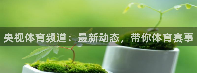玩球直播nba在线观看免费：央视体育频道：最新动态，带你体育赛事
