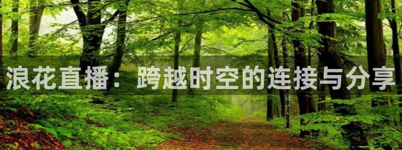 玩球球视频：浪花直播：跨越时空的连接与分享