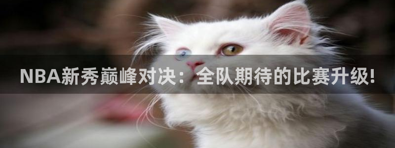 玩球nba直播：NBA新秀巅峰对决：全队期待的比赛升级!